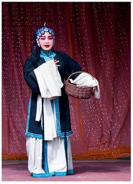 秦腔 丑角戏孙存碟拾黄金.mp3