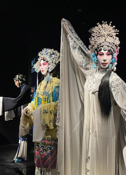 070.《出五关》2张江中 张安学主演.mp3